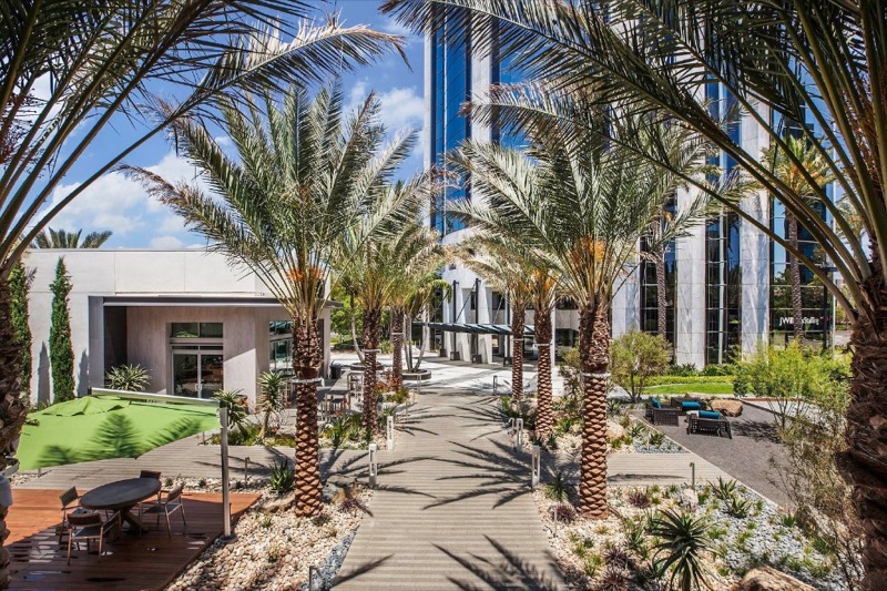 Office building entrance walkway with palm trees